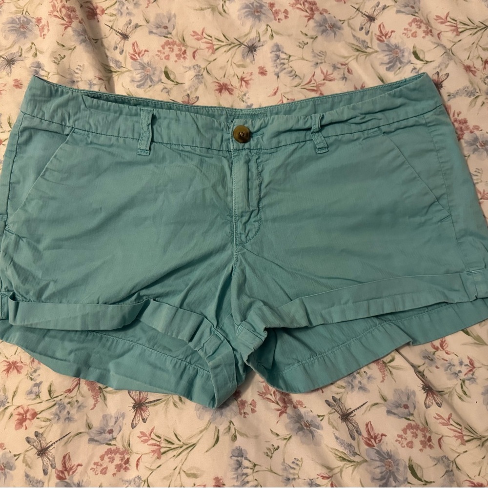 American Eagle Outfitters Teal Cargo Shorts